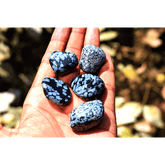 Snowflake Obsidian Tumbles